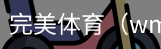 完美体育，WMsports，完美体育官方，完美体育平台，完美体育下载
